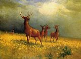Albert Bierstadt Deer in a Field painting